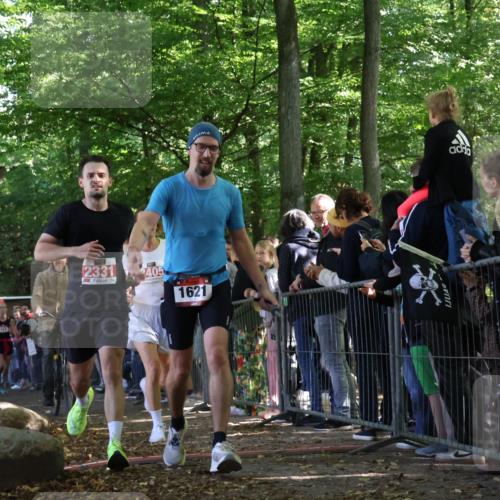 28.09.2025 - 33. Volkslauf durch das schöne Alstertal Strokosch-Dieckow http://msf.ph/oto/8972381 28.09.2025 11:57:20 Ziel 1018, 1019, 1621, 1663, 2331, 2358, 2405, 2560 meine-sportfotos.de