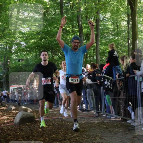 28.09.2025 - 33. Volkslauf durch das schöne Alstertal Strokosch-Dieckow http://msf.ph/oto/8972382 28.09.2025 11:57:20 Ziel 1018, 1019, 1621, 1663, 2331, 2358, 2405, 2560 meine-sportfotos.de
