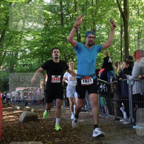 28.09.2025 - 33. Volkslauf durch das schöne Alstertal Strokosch-Dieckow http://msf.ph/oto/8972383 28.09.2025 11:57:21 Ziel 1018, 1019, 1621, 1663, 2331, 2358, 2405, 2560 meine-sportfotos.de