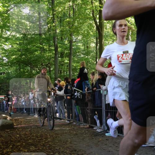 28.09.2025 - 33. Volkslauf durch das schöne Alstertal Strokosch-Dieckow http://msf.ph/oto/8972386 28.09.2025 11:57:22 Ziel 1018, 1019, 1663, 2358, 2405, 2560 meine-sportfotos.de