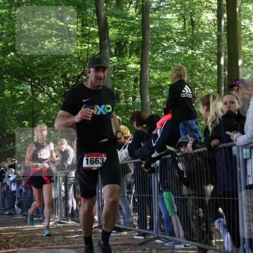 28.09.2025 - 33. Volkslauf durch das schöne Alstertal Strokosch-Dieckow http://msf.ph/oto/8972387 28.09.2025 11:57:25 Ziel 1018, 1019, 1663, 2358, 2560 meine-sportfotos.de