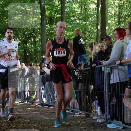 28.09.2025 - 33. Volkslauf durch das schöne Alstertal Strokosch-Dieckow http://msf.ph/oto/8972391 28.09.2025 11:57:27 Ziel 1018, 1019, 2358, 2560 meine-sportfotos.de