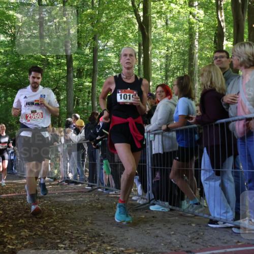 28.09.2025 - 33. Volkslauf durch das schöne Alstertal Strokosch-Dieckow http://msf.ph/oto/8972392 28.09.2025 11:57:28 Ziel 1018, 1019, 2358, 2560 meine-sportfotos.de