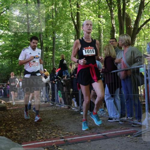 28.09.2025 - 33. Volkslauf durch das schöne Alstertal Strokosch-Dieckow http://msf.ph/oto/8972393 28.09.2025 11:57:28 Ziel 1018, 1019, 2358, 2560 meine-sportfotos.de