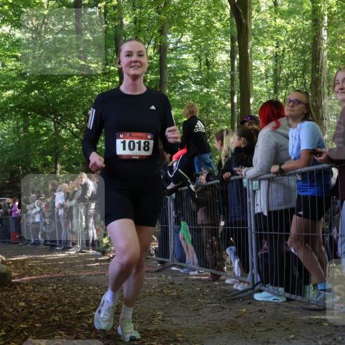 28.09.2025 - 33. Volkslauf durch das schöne Alstertal Strokosch-Dieckow http://msf.ph/oto/8972397 28.09.2025 11:57:30 Ziel 1018 meine-sportfotos.de