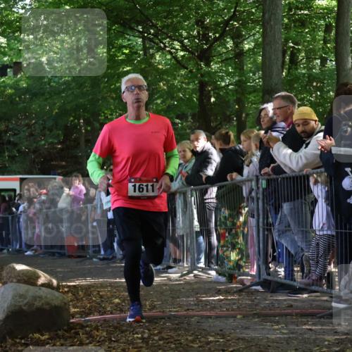 28.09.2025 - 33. Volkslauf durch das schöne Alstertal Strokosch-Dieckow http://msf.ph/oto/8972401 28.09.2025 11:57:39 Ziel 1611 meine-sportfotos.de