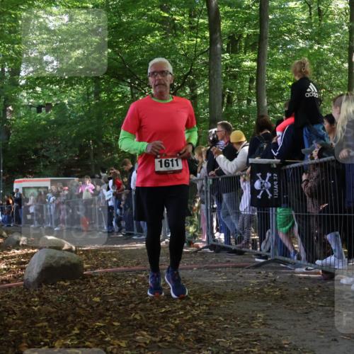 28.09.2025 - 33. Volkslauf durch das schöne Alstertal Strokosch-Dieckow http://msf.ph/oto/8972402 28.09.2025 11:57:40 Ziel 1611 meine-sportfotos.de