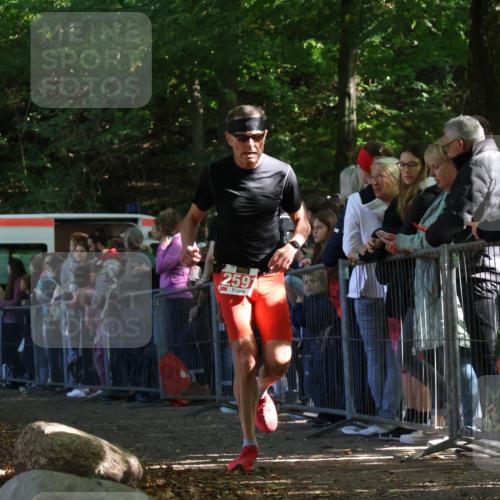 28.09.2025 - 33. Volkslauf durch das schöne Alstertal Strokosch-Dieckow http://msf.ph/oto/8972429 28.09.2025 11:58:13 Ziel 2591 meine-sportfotos.de