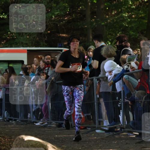 28.09.2025 - 33. Volkslauf durch das schöne Alstertal Strokosch-Dieckow http://msf.ph/oto/8972438 28.09.2025 11:58:29 Ziel 1027, 1617 meine-sportfotos.de