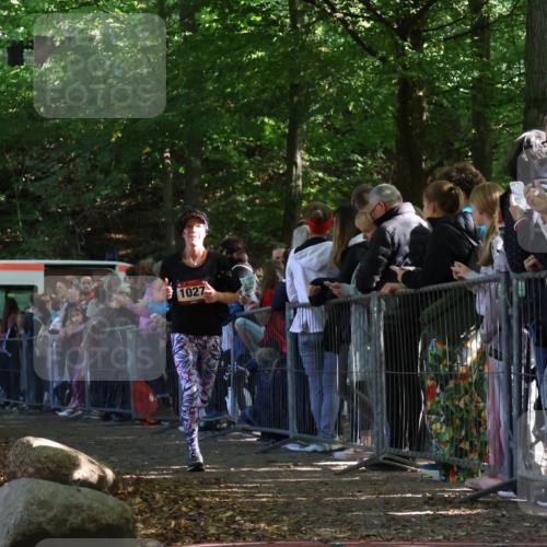 28.09.2025 - 33. Volkslauf durch das schöne Alstertal Strokosch-Dieckow http://msf.ph/oto/8972440 28.09.2025 11:58:30 Ziel 1027, 1617 meine-sportfotos.de