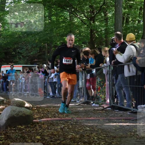 28.09.2025 - 33. Volkslauf durch das schöne Alstertal Strokosch-Dieckow http://msf.ph/oto/8972462 28.09.2025 11:58:58 Ziel 1641, 1660, 2460, 2636 meine-sportfotos.de