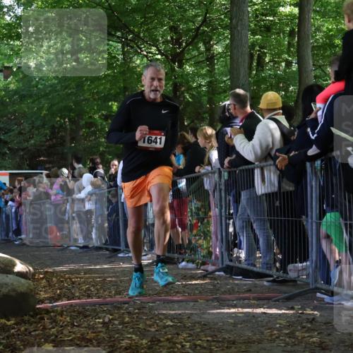 28.09.2025 - 33. Volkslauf durch das schöne Alstertal Strokosch-Dieckow http://msf.ph/oto/8972463 28.09.2025 11:58:59 Ziel 1022, 1641, 1708, 2460, 2636 meine-sportfotos.de