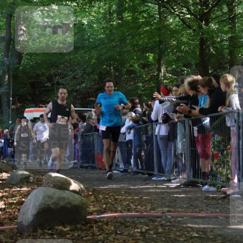 28.09.2025 - 33. Volkslauf durch das schöne Alstertal Strokosch-Dieckow http://msf.ph/oto/8972468 28.09.2025 11:59:02 Ziel 1022, 1670, 1708, 2460, 2636 meine-sportfotos.de