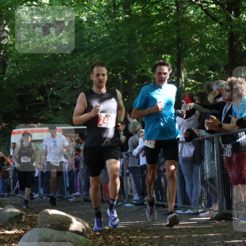 28.09.2025 - 33. Volkslauf durch das schöne Alstertal Strokosch-Dieckow http://msf.ph/oto/8972469 28.09.2025 11:59:03 Ziel 1022, 1670, 1708, 2460, 2636 meine-sportfotos.de