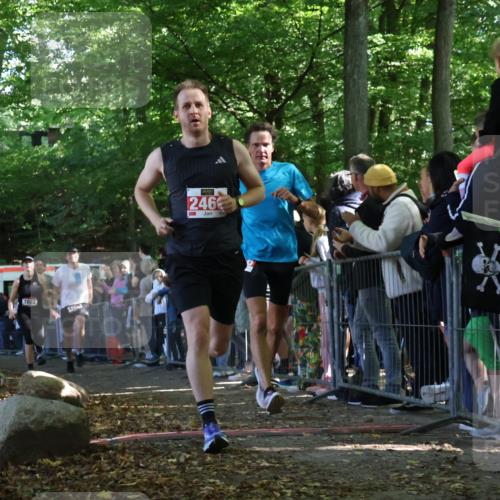 28.09.2025 - 33. Volkslauf durch das schöne Alstertal Strokosch-Dieckow http://msf.ph/oto/8972472 28.09.2025 11:59:04 Ziel 1022, 1670, 1708, 2460, 2636 meine-sportfotos.de