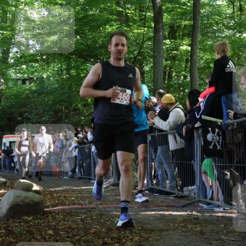 28.09.2025 - 33. Volkslauf durch das schöne Alstertal Strokosch-Dieckow http://msf.ph/oto/8972473 28.09.2025 11:59:04 Ziel 1022, 1670, 1708, 2460, 2636 meine-sportfotos.de