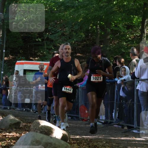 28.09.2025 - 33. Volkslauf durch das schöne Alstertal Strokosch-Dieckow http://msf.ph/oto/8972517 28.09.2025 11:59:52 Ziel 1021, 1532, 1613, 1642, 1726, 2577 meine-sportfotos.de