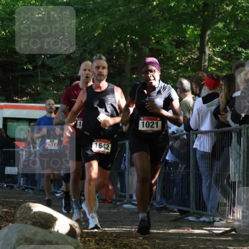 28.09.2025 - 33. Volkslauf durch das schöne Alstertal Strokosch-Dieckow http://msf.ph/oto/8972518 28.09.2025 11:59:52 Ziel 1021, 1532, 1613, 1642, 1726, 2577 meine-sportfotos.de