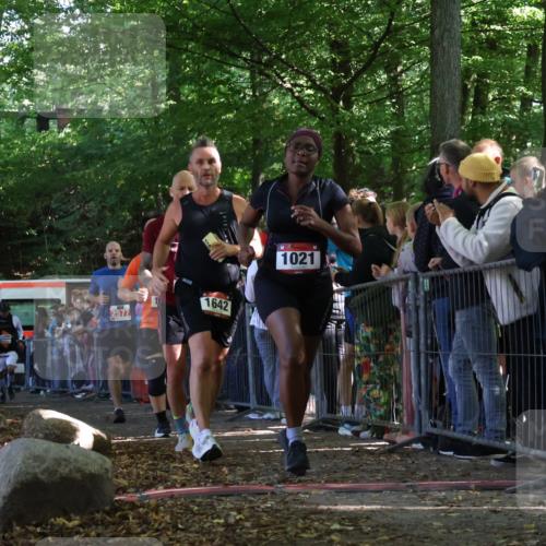 28.09.2025 - 33. Volkslauf durch das schöne Alstertal Strokosch-Dieckow http://msf.ph/oto/8972520 28.09.2025 11:59:54 Ziel 1021, 1532, 1613, 1642, 1726, 2577 meine-sportfotos.de