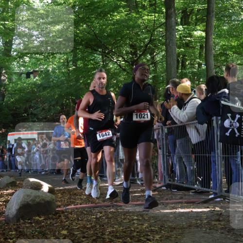 28.09.2025 - 33. Volkslauf durch das schöne Alstertal Strokosch-Dieckow http://msf.ph/oto/8972521 28.09.2025 11:59:54 Ziel 1021, 1532, 1613, 1642, 1726, 2577 meine-sportfotos.de