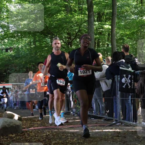 28.09.2025 - 33. Volkslauf durch das schöne Alstertal Strokosch-Dieckow http://msf.ph/oto/8972522 28.09.2025 11:59:54 Ziel 1021, 1532, 1613, 1642, 1726, 2577 meine-sportfotos.de
