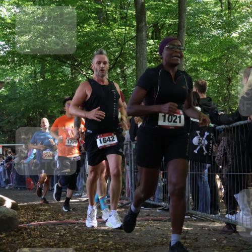 28.09.2025 - 33. Volkslauf durch das schöne Alstertal Strokosch-Dieckow http://msf.ph/oto/8972523 28.09.2025 11:59:55 Ziel 1021, 1532, 1613, 1642, 1726, 2577 meine-sportfotos.de