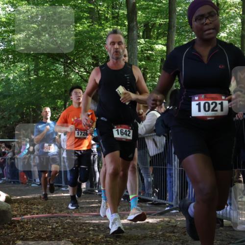 28.09.2025 - 33. Volkslauf durch das schöne Alstertal Strokosch-Dieckow http://msf.ph/oto/8972524 28.09.2025 11:59:55 Ziel 1021, 1532, 1613, 1642, 1726, 2577 meine-sportfotos.de