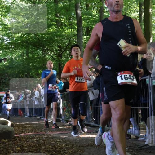 28.09.2025 - 33. Volkslauf durch das schöne Alstertal Strokosch-Dieckow http://msf.ph/oto/8972526 28.09.2025 11:59:56 Ziel 1532, 1613, 1642, 1726, 1828, 2577 meine-sportfotos.de