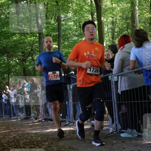 28.09.2025 - 33. Volkslauf durch das schöne Alstertal Strokosch-Dieckow http://msf.ph/oto/8972528 28.09.2025 11:59:57 Ziel 1532, 1726, 1828, 2577 meine-sportfotos.de