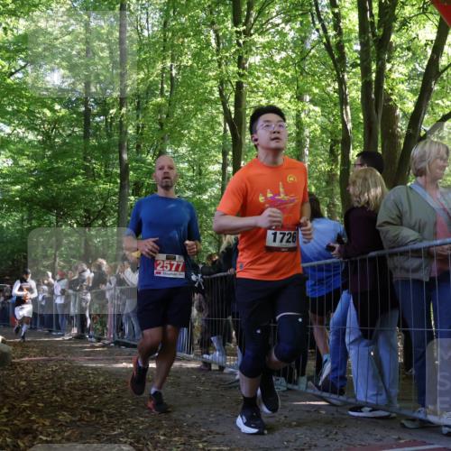 28.09.2025 - 33. Volkslauf durch das schöne Alstertal Strokosch-Dieckow http://msf.ph/oto/8972529 28.09.2025 11:59:58 Ziel 1532, 1828, 2577 meine-sportfotos.de