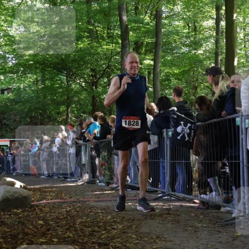 28.09.2025 - 33. Volkslauf durch das schöne Alstertal Strokosch-Dieckow http://msf.ph/oto/8972537 28.09.2025 12:00:05 Ziel 1029, 1646, 1651, 1661, 1828 meine-sportfotos.de