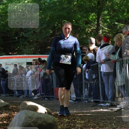 28.09.2025 - 33. Volkslauf durch das schöne Alstertal Strokosch-Dieckow http://msf.ph/oto/8972573 28.09.2025 12:00:42 Ziel 2446, 3360 meine-sportfotos.de