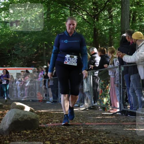 28.09.2025 - 33. Volkslauf durch das schöne Alstertal Strokosch-Dieckow http://msf.ph/oto/8972575 28.09.2025 12:00:44 Ziel 1025, 2446, 3360 meine-sportfotos.de