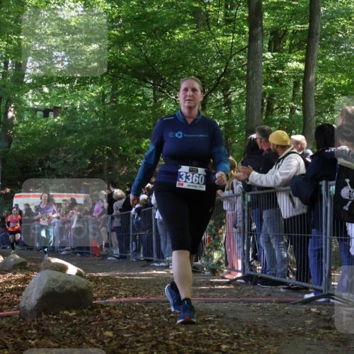 28.09.2025 - 33. Volkslauf durch das schöne Alstertal Strokosch-Dieckow http://msf.ph/oto/8972576 28.09.2025 12:00:45 Ziel 1025, 2446, 3360 meine-sportfotos.de
