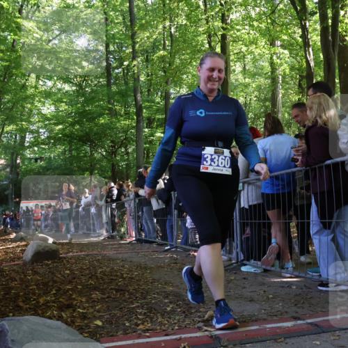28.09.2025 - 33. Volkslauf durch das schöne Alstertal Strokosch-Dieckow http://msf.ph/oto/8972579 28.09.2025 12:00:47 Ziel 1025, 2446 meine-sportfotos.de