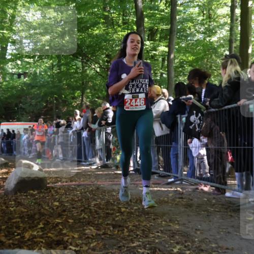 28.09.2025 - 33. Volkslauf durch das schöne Alstertal Strokosch-Dieckow http://msf.ph/oto/8972580 28.09.2025 12:00:48 Ziel 1025, 2446 meine-sportfotos.de