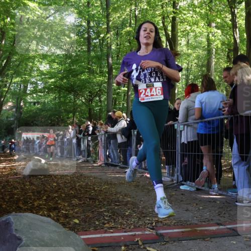 28.09.2025 - 33. Volkslauf durch das schöne Alstertal Strokosch-Dieckow http://msf.ph/oto/8972581 28.09.2025 12:00:49 Ziel 1025, 2446 meine-sportfotos.de