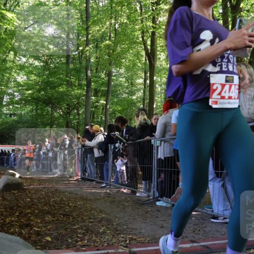 28.09.2025 - 33. Volkslauf durch das schöne Alstertal Strokosch-Dieckow http://msf.ph/oto/8972582 28.09.2025 12:00:49 Ziel 1025, 2446 meine-sportfotos.de