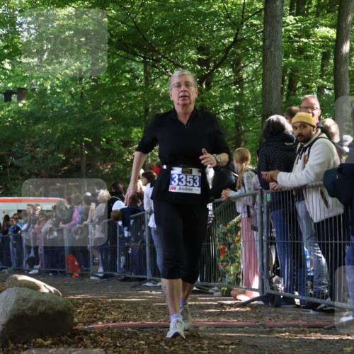 28.09.2025 - 33. Volkslauf durch das schöne Alstertal Strokosch-Dieckow http://msf.ph/oto/8972601 28.09.2025 12:01:25 Ziel 3353 meine-sportfotos.de