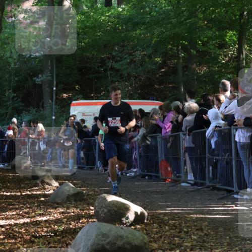 28.09.2025 - 33. Volkslauf durch das schöne Alstertal Strokosch-Dieckow http://msf.ph/oto/8972606 28.09.2025 12:01:52 Ziel 1028, 1035, 1084, 1672, 2256 meine-sportfotos.de