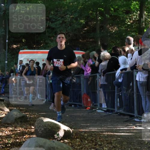 28.09.2025 - 33. Volkslauf durch das schöne Alstertal Strokosch-Dieckow http://msf.ph/oto/8972607 28.09.2025 12:01:53 Ziel 1028, 1035, 1084, 1672, 2256 meine-sportfotos.de