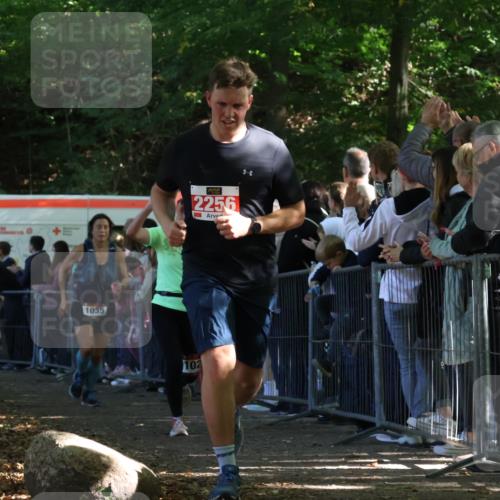28.09.2025 - 33. Volkslauf durch das schöne Alstertal Strokosch-Dieckow http://msf.ph/oto/8972610 28.09.2025 12:01:54 Ziel 1028, 1035, 1084, 1672, 2256, 2612 meine-sportfotos.de