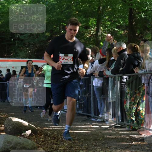 28.09.2025 - 33. Volkslauf durch das schöne Alstertal Strokosch-Dieckow http://msf.ph/oto/8972611 28.09.2025 12:01:55 Ziel 1028, 1035, 1084, 1672, 2256, 2612 meine-sportfotos.de