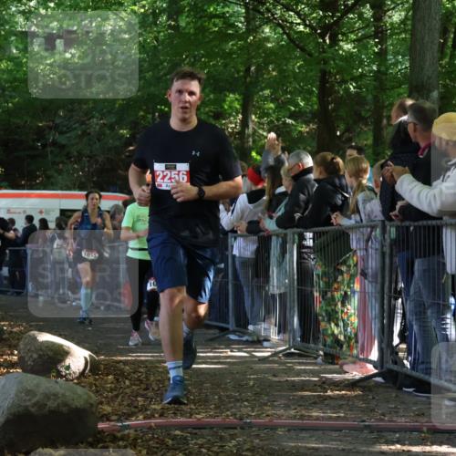 28.09.2025 - 33. Volkslauf durch das schöne Alstertal Strokosch-Dieckow http://msf.ph/oto/8972612 28.09.2025 12:01:55 Ziel 1028, 1035, 1084, 1672, 2256, 2612 meine-sportfotos.de