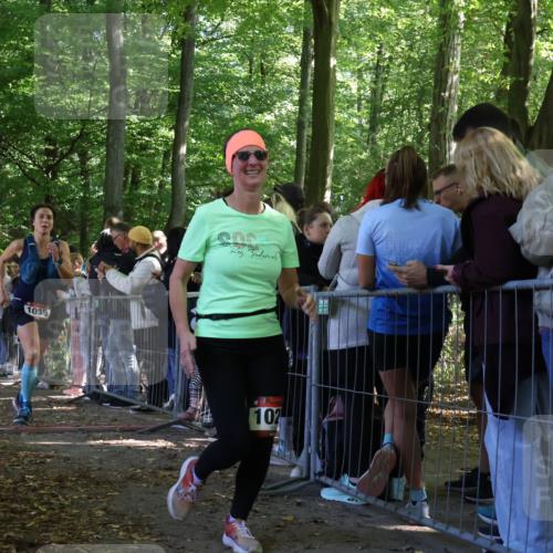 28.09.2025 - 33. Volkslauf durch das schöne Alstertal Strokosch-Dieckow http://msf.ph/oto/8972618 28.09.2025 12:01:59 Ziel 1026, 1028, 1035, 1084, 1672, 1697, 2612 meine-sportfotos.de