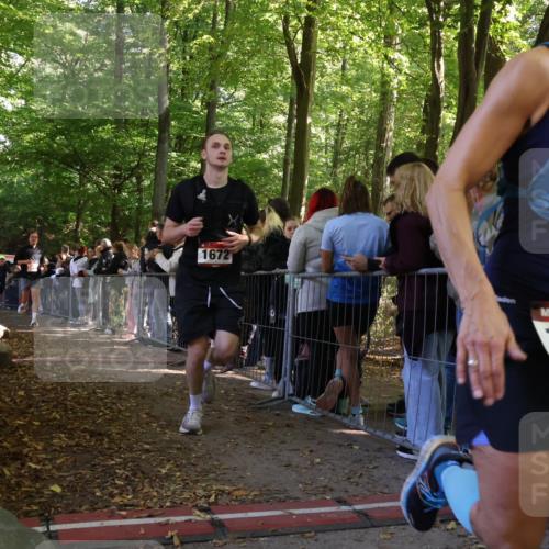 28.09.2025 - 33. Volkslauf durch das schöne Alstertal Strokosch-Dieckow http://msf.ph/oto/8972622 28.09.2025 12:02:01 Ziel 1026, 1672, 1697, 2612 meine-sportfotos.de