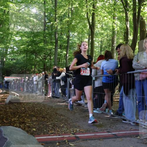 28.09.2025 - 33. Volkslauf durch das schöne Alstertal Strokosch-Dieckow http://msf.ph/oto/8972634 28.09.2025 12:02:22 Ziel 2199 meine-sportfotos.de