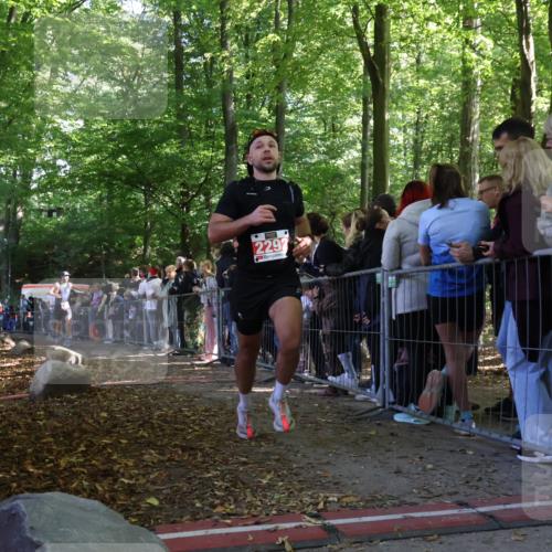 28.09.2025 - 33. Volkslauf durch das schöne Alstertal Strokosch-Dieckow http://msf.ph/oto/8972637 28.09.2025 12:02:32 Ziel 1804, 2213, 2292 meine-sportfotos.de