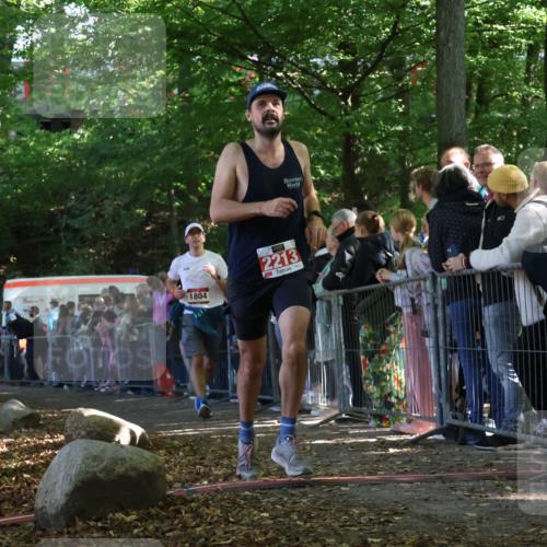 28.09.2025 - 33. Volkslauf durch das schöne Alstertal Strokosch-Dieckow http://msf.ph/oto/8972641 28.09.2025 12:02:36 Ziel 1804, 2213 meine-sportfotos.de