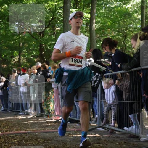 28.09.2025 - 33. Volkslauf durch das schöne Alstertal Strokosch-Dieckow http://msf.ph/oto/8972646 28.09.2025 12:02:39 Ziel 1673, 1804 meine-sportfotos.de